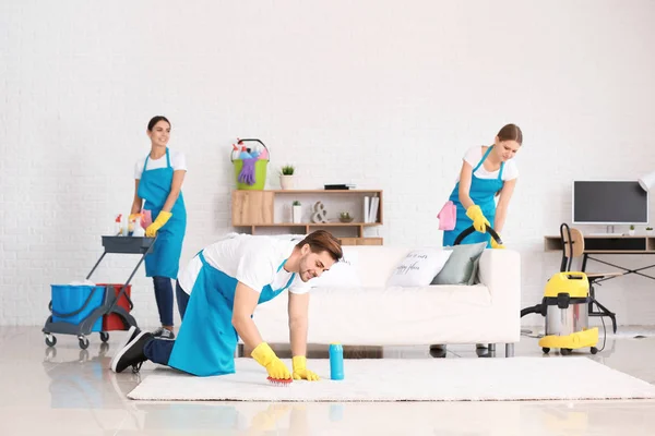 Professional carpet cleaning in Davie