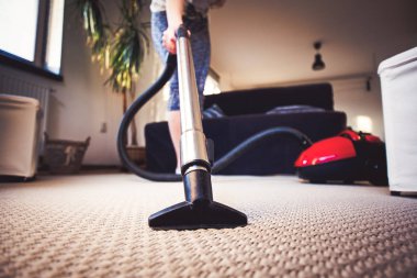 Top-rated carpet cleaning in Davie