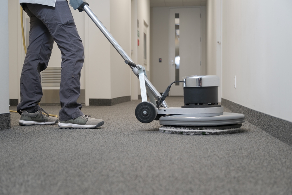 Professional carpet cleaning near Davie