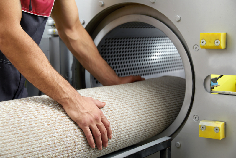 Pet stain and odor removal near Davie